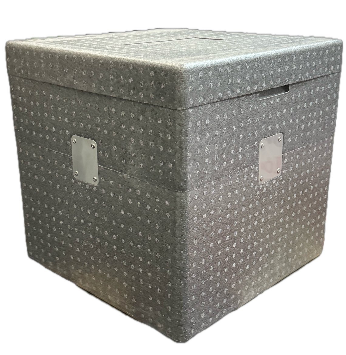 Closed grey EPP cold chain box with VIP insert and metal latches for pharma and vaccine shipping